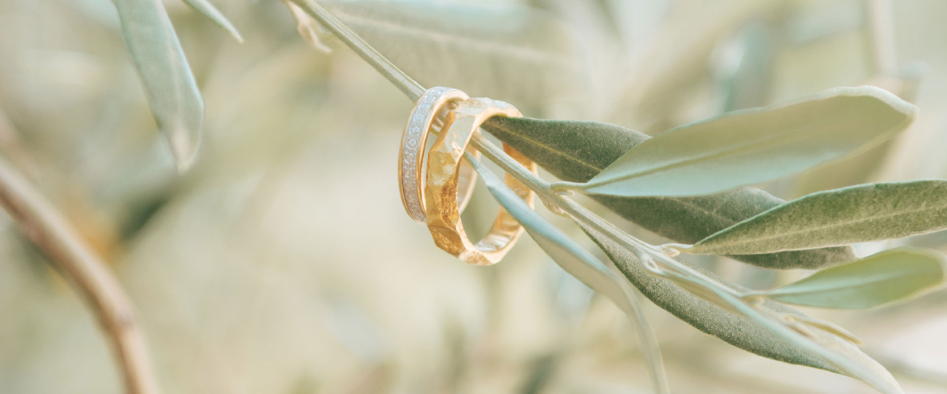 mariages au jas de Péguier en provence